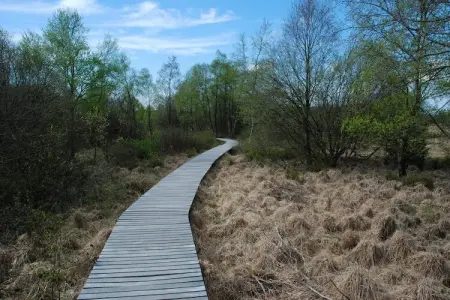 Schell, Appartement, bien equipé à Bütgenbach. - Photo 25