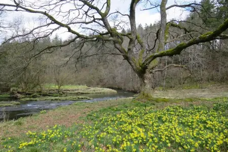 Schell, Appartement, bien equipé à Bütgenbach. - Photo 32