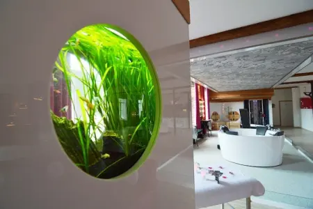 Le baiser d'Angeli, Loft de Luxe avec jacuzzi, sauna infrarouge et ambiance extraordinaire! - Photo 36