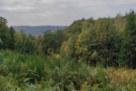 Le Meheret, Venez profiter calme à deux et découvrir Durbuy et les grottes de Hotton - Photo 39