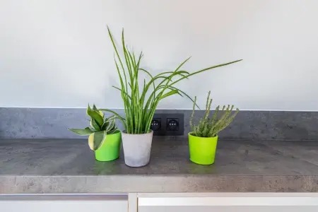 't Speutekot, Appartement lumineux avec une terrasse de toit, proche de l'agréable place du marché de Watou - Photo 24
