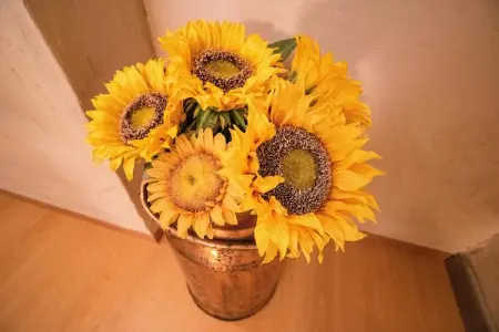 't Speutekot, Appartement lumineux avec une terrasse de toit, proche de l'agréable place du marché de Watou - Photo 29