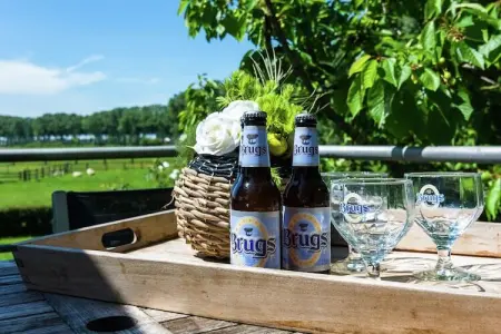 't Moerhuisje, Appartement moderne et aménagé avec goût - Photo 24