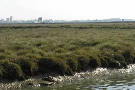 Green Paradise, Appartement dans une belle urbanisation fermée avec un beau café en plein air et une piscine - Photo 34