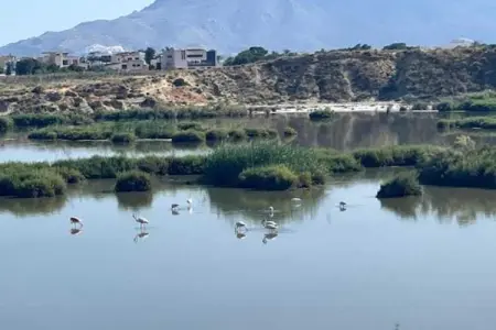 Precioso piso en Garrucha, Appartement 4 personnes à Garrucha - Photo 36
