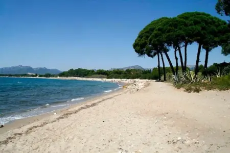 Nobis Los Pinos 2, Petit immeuble avec 4 appartements près de la plage - Photo 26