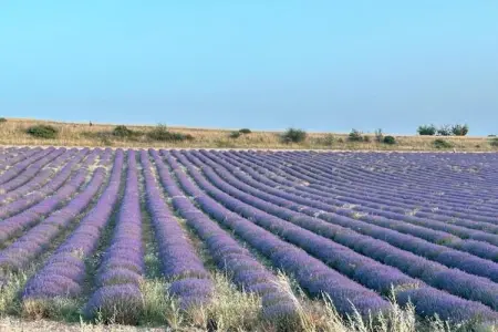Chateau des Gipières, Magnifiques studios 2 personnes dans un château avec piscine - Photo 27