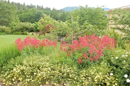 Studio - MONTBRUN-LES-BAINS, Studio dans villa provençale avec vue du Mont Ventoux - Photo 20