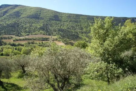 Studio - MONTBRUN-LES-BAINS, Studio dans villa provençale avec vue du Mont Ventoux - Photo 28