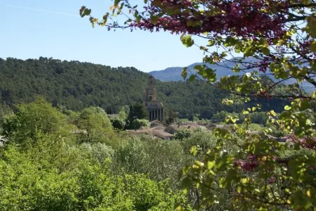 Studio - MONTBRUN-LES-BAINS, Studio dans villa provençale avec vue du Mont Ventoux - Photo 30