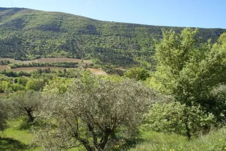 Studio - MONTBRUN-LES-BAINS, Studio dans villa provençale avec vue du Mont Ventoux - Photo 31