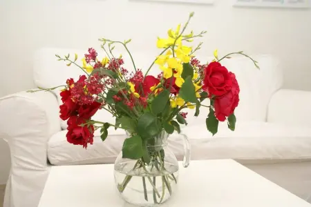 Studio - MONTBRUN-LES-BAINS, Studio dans villa provençale avec vue du Mont Ventoux - Photo 37