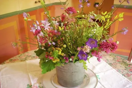 Au château près du Ventoux V, Deux Studios avec piscine, dans parc près des spas et vue sur le mont Ventoux. - Photo 34