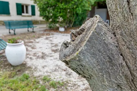 Le trois chambres, Appartement 6 personnes à Mèze - Photo 35