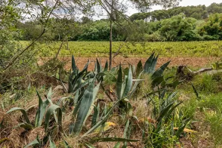 LE DALI, Appartement 4 personnes à Mèze - Photo 17
