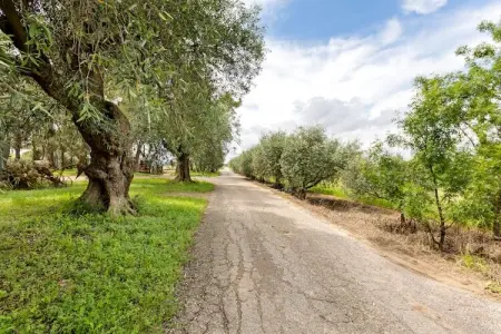 LE DALI, Appartement 4 personnes à Mèze - Photo 35