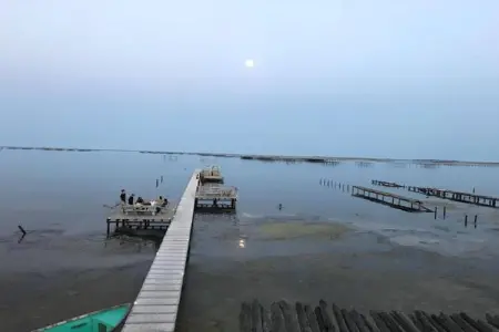Terra Gaïa 1, Résidence moderne à Sète à proximité des plages du Languedoc-Roussillon - Photo 14
