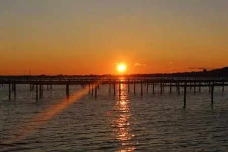 Terra Gaïa 1, Résidence moderne à Sète à proximité des plages du Languedoc-Roussillon - Photo 25