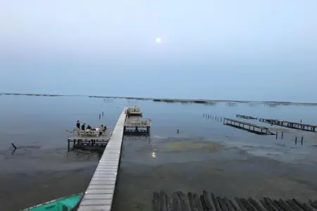 Terra Gaïa 2, Résidence moderne à Sète à proximité des plages du Languedoc-Roussillon - Photo 14