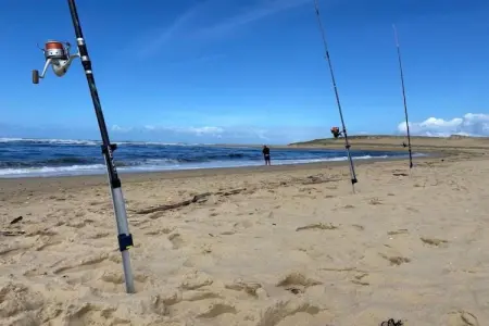 Les Appartements de Moliets 3, Appartements bien aménagés au sein d'une résidence à Moliets. - Photo 27