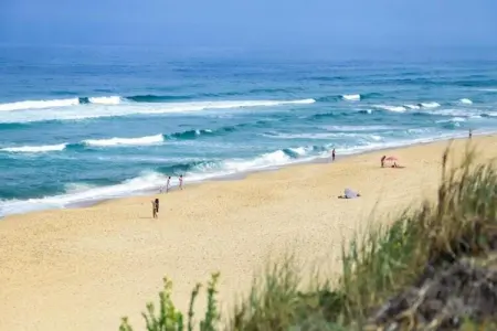 Les Appartements de Moliets 3, Appartements bien aménagés au sein d'une résidence à Moliets. - Photo 32