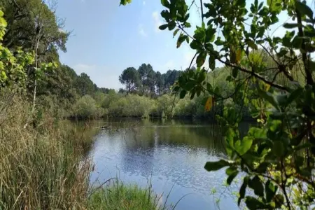 Les Appartements de Moliets 5, Appartements bien aménagés au sein d'une résidence à Moliets. - Photo 34