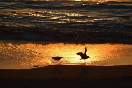 Résidence Domaine Iratzia 1, Appartements confortables dans un parc privé avec piscine près de la plage - Photo 31