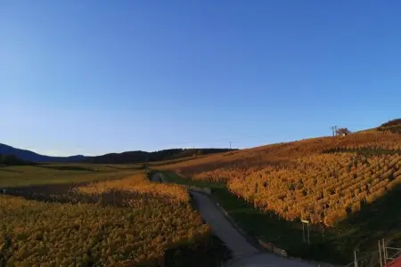 Le Domaine des Rois 2, Jolie résidence avec piscine intérieure en Alsace - Photo 21