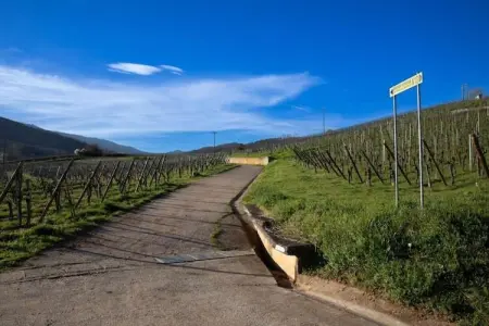 Le Domaine des Rois 2, Jolie résidence avec piscine intérieure en Alsace - Photo 25