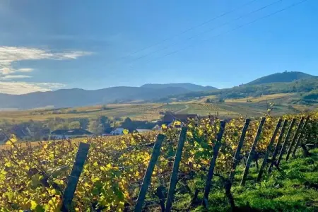 Le Domaine des Rois 2, Jolie résidence avec piscine intérieure en Alsace - Photo 28