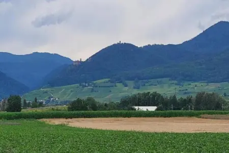 Le Domaine des Rois 2, Jolie résidence avec piscine intérieure en Alsace - Photo 30