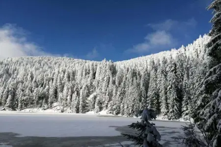 Le Domaine des Rois 2, Jolie résidence avec piscine intérieure en Alsace - Photo 32