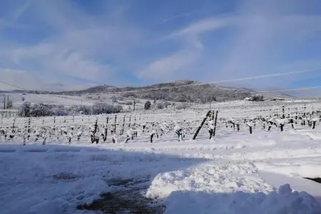 Le Domaine des Rois 2, Jolie résidence avec piscine intérieure en Alsace - Photo 33