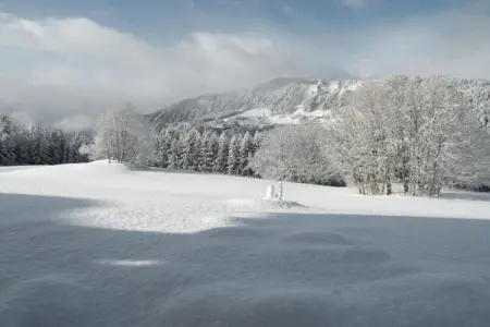 Résidence Le Village 2, Appartements dans une belle résidence avec piscine, à 300m à peine des pistes - Photo 30
