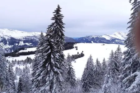 Résidence Prestige Mendi Alde 7, Nouvelle résidence de luxe avec piscine et spa à La Clusaz - Photo 26