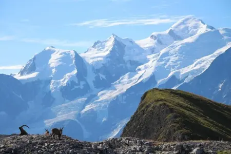 Les Portes du Grand Massif 4, Appartement dans une résidence luxueuse, parfait pour se détendre après le ski - Photo 30