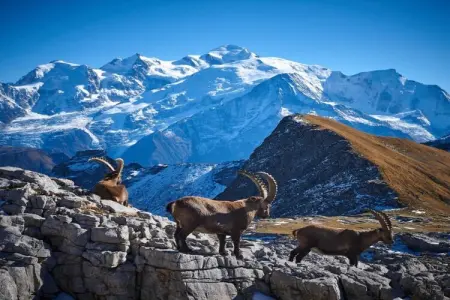 Les Portes du Grand Massif 4, Appartement dans une résidence luxueuse, parfait pour se détendre après le ski - Photo 35