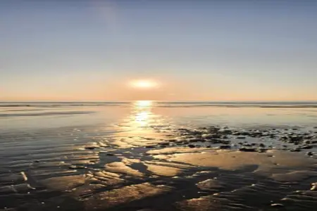 Les Terrasses de la Plage 4, Appartement avec bel emplacement en bord de mer dans le nord de la France - Photo 18