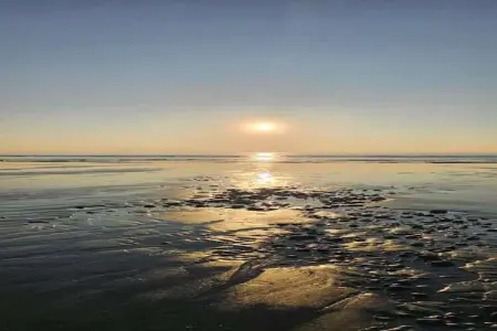 Les Terrasses de la Plage 4, Appartement avec bel emplacement en bord de mer dans le nord de la France - Photo 21
