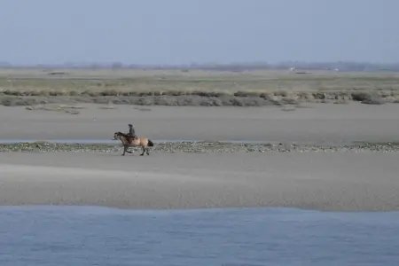 Les Terrasses de la Plage 4, Appartement avec bel emplacement en bord de mer dans le nord de la France - Photo 25