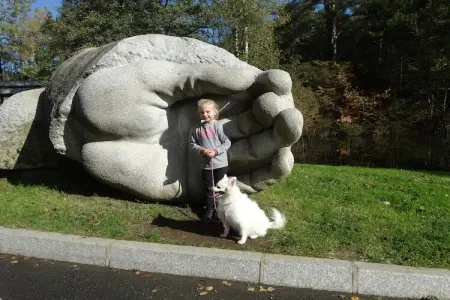 Gite le Soleil, Superbe appartement de luxe avec balcon couvert et vue magnifique ! - Photo 19