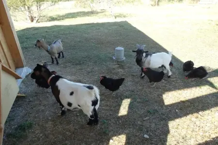 Gite le Soleil, Superbe appartement de luxe avec balcon couvert et vue magnifique ! - Photo 23