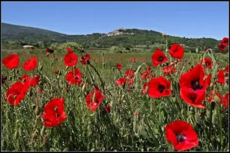 Les 4 Soleils 1, Village de vacances rural avec piscine près de Bonnieux dans le Lubéron. - Photo 25