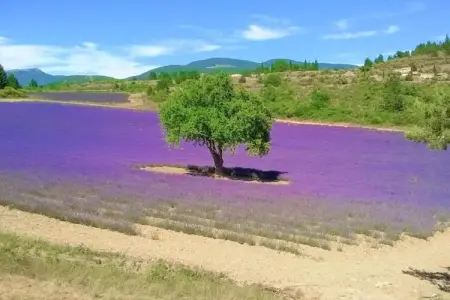 Les 4 Soleils 1, Village de vacances rural avec piscine près de Bonnieux dans le Lubéron. - Photo 32