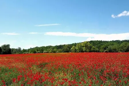Les 4 Soleils 3, Village de vacances rural avec piscine près de Bonnieux dans le Luberon - Photo 30
