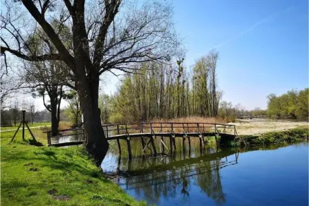 Apartment Biondic A1, Bel appartement avec vue sur la mer et piscine! - Photo 21