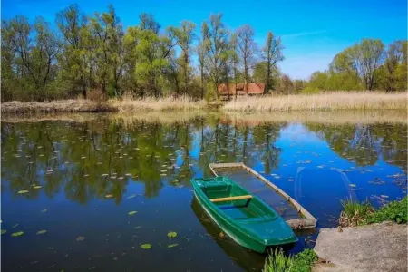 Apartment Biondic A1, Bel appartement avec vue sur la mer et piscine! - Photo 32