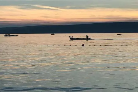 Apartment Biondic 2, Adorable appartement avec piscine pour usage et terrasse avec vue sur la mer! - Photo 29