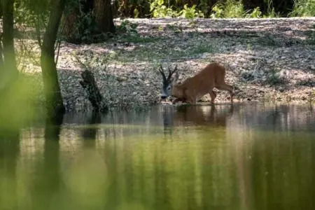 Apartment Dramalj, Appartement moderne avec piscine, vue fantastique sur les îles! - Photo 14