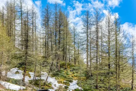 Escargot monolocale, Appartement 5 personnes à Cervinia - Photo 24